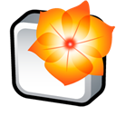 Adobe Illustrator icon